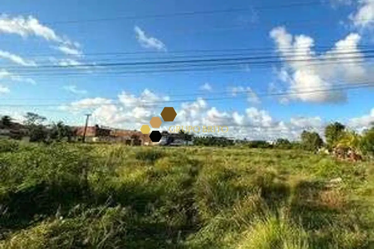 Terreno comercial Prazeres à Venda - Foto 2