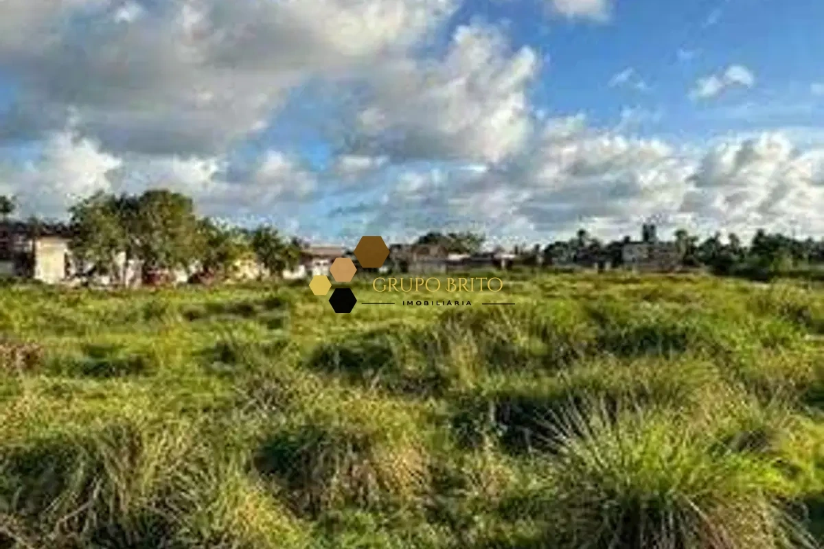 Terreno comercial Prazeres à Venda - Foto 3