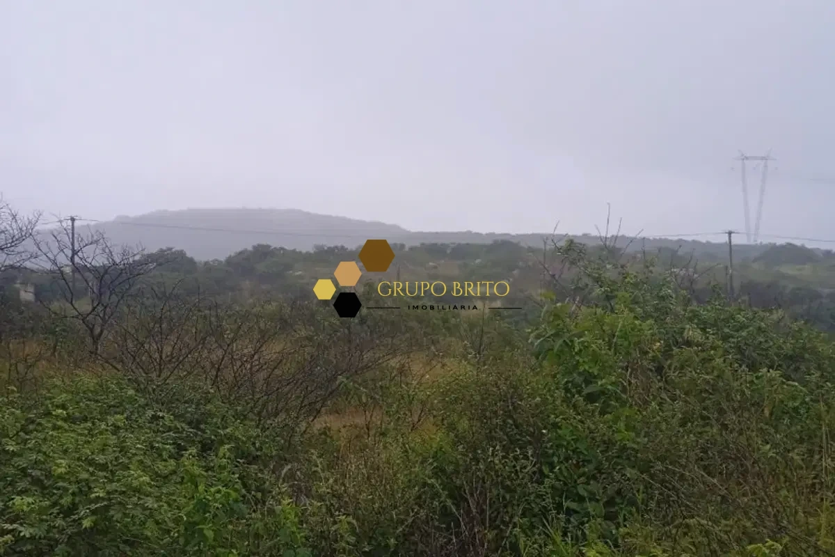 Fazenda Ebenezer à Venda - Foto 3