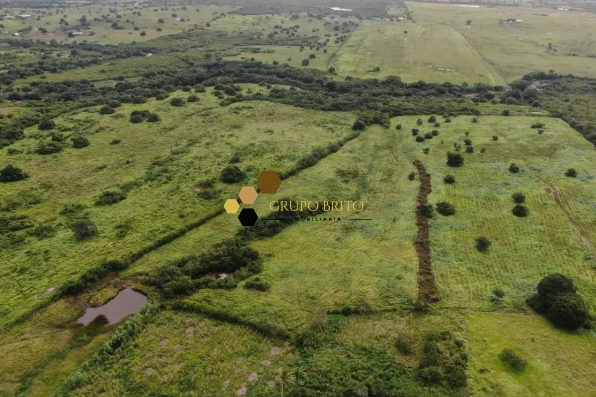 Fazenda 4 Salas Zona Rural à Venda - Foto 10