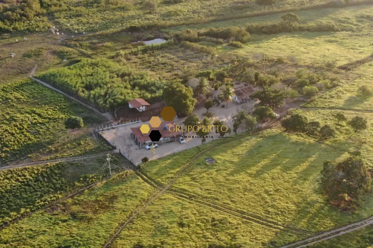 Fazenda 4 Salas Zona Rural à Venda - Foto 18