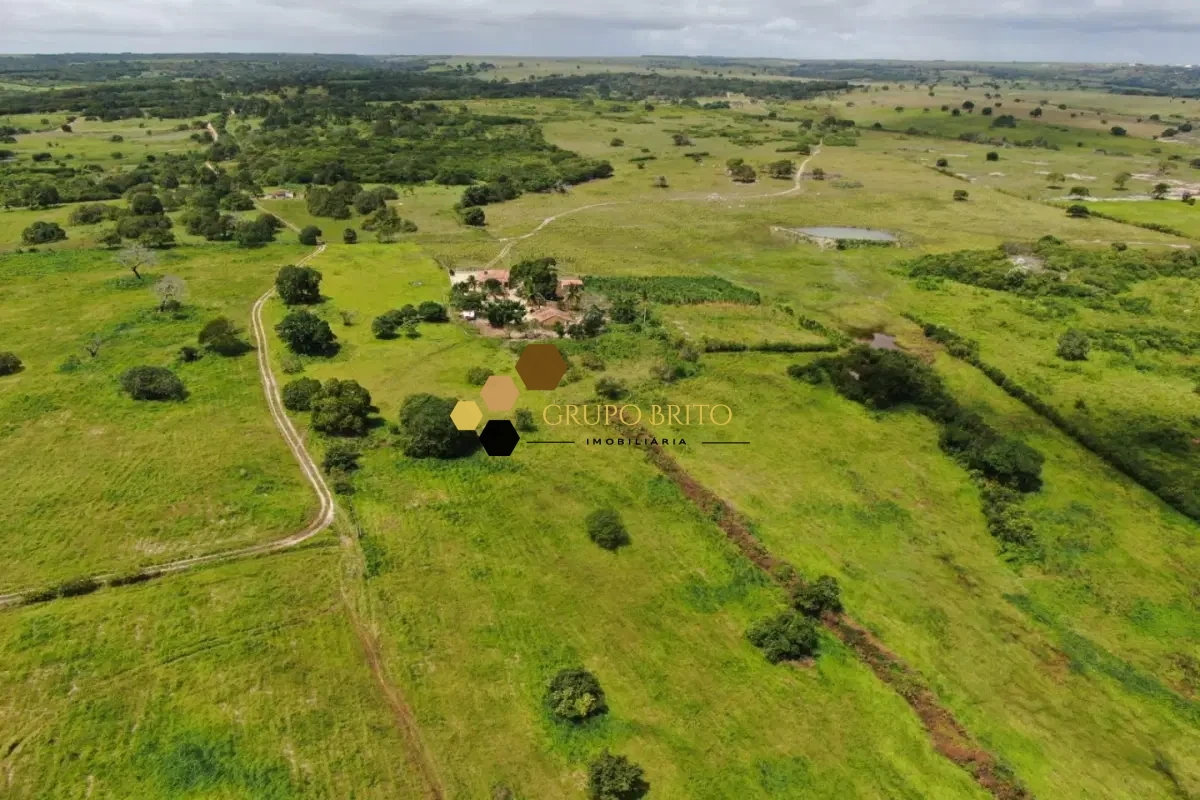 Fazenda 4 Salas Zona Rural à Venda - Foto 21