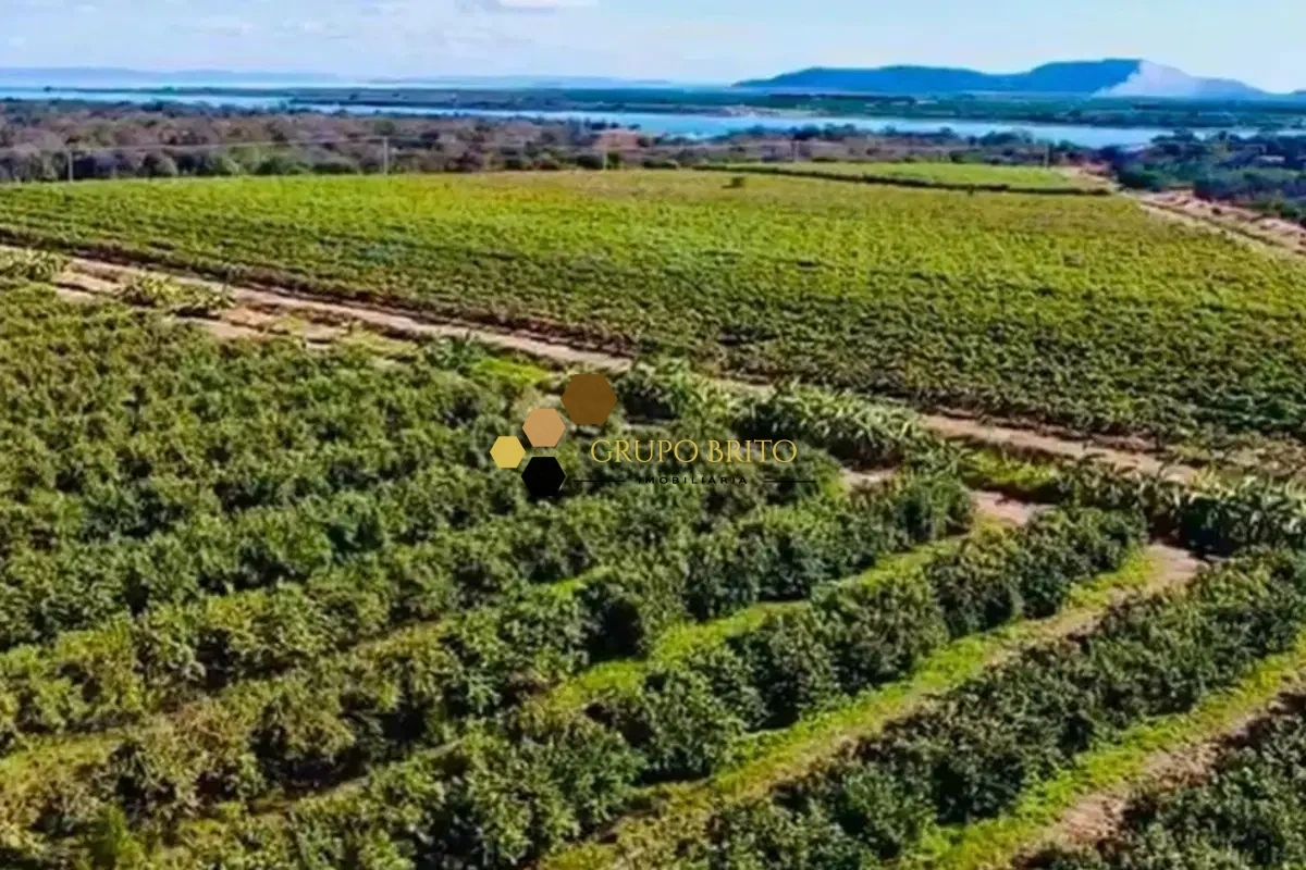 Fazenda Centro à Venda - Foto 1