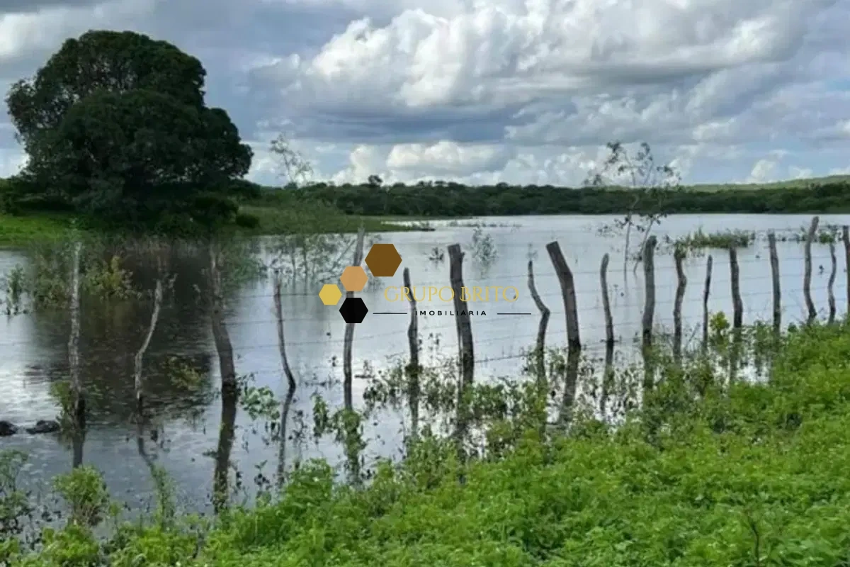 Fazenda Centro à Venda - Foto 3