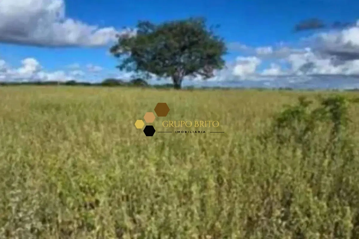 Fazenda 3 Salas Zona Rural à Venda - Foto 2