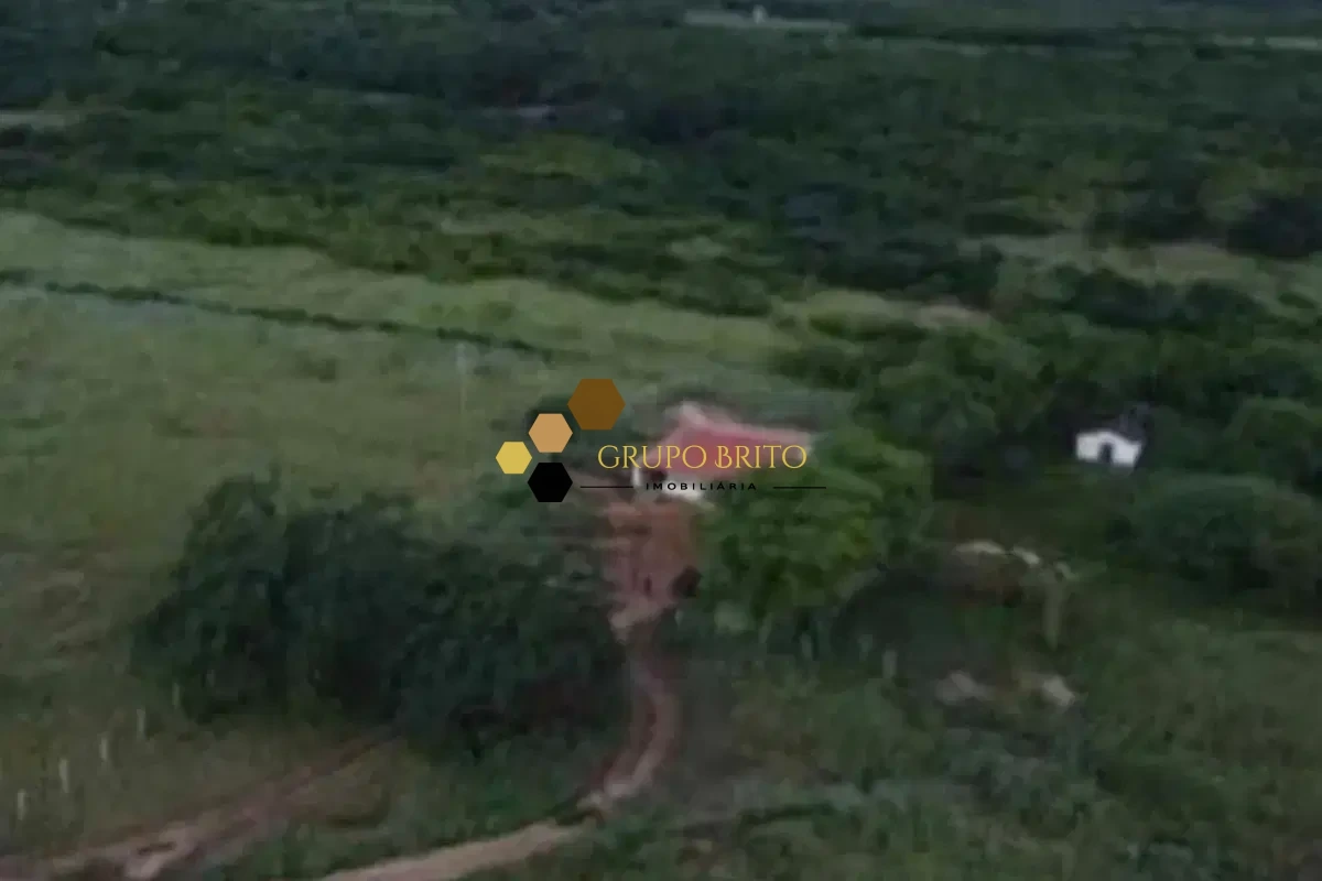 Fazenda 3 Salas Zona Rural à Venda - Foto 3