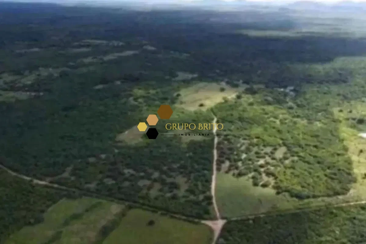 Fazenda 3 Salas Zona Rural à Venda - Foto 4