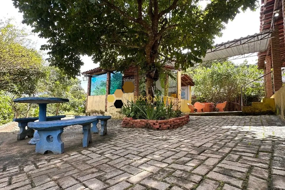 Sítio / Chácara 4 Quartos Divinópolis à Venda - Foto 15